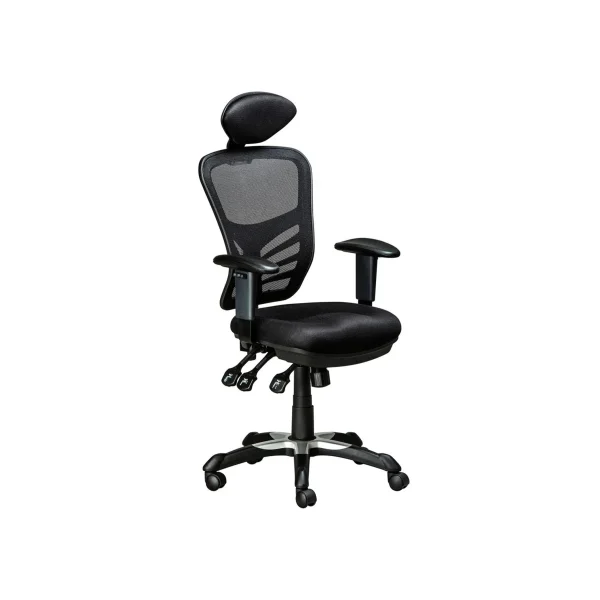 Ergonet Office Chair - High Back - Nylon Mesh