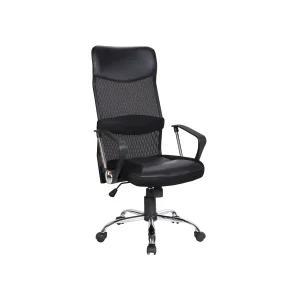 Topeakmart Office Chair - High Back - Nylon Mesh & Leather